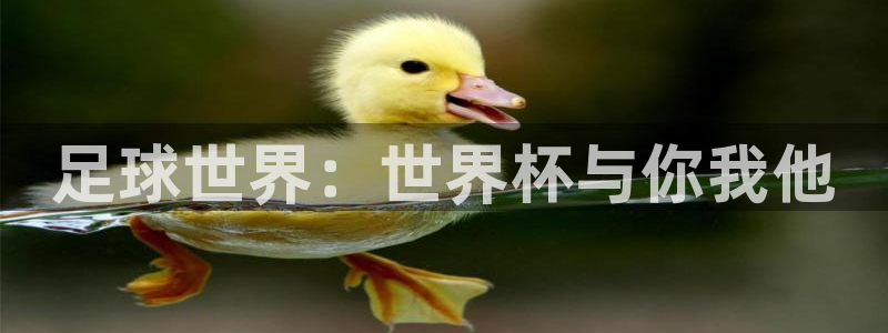168全国开奖官网