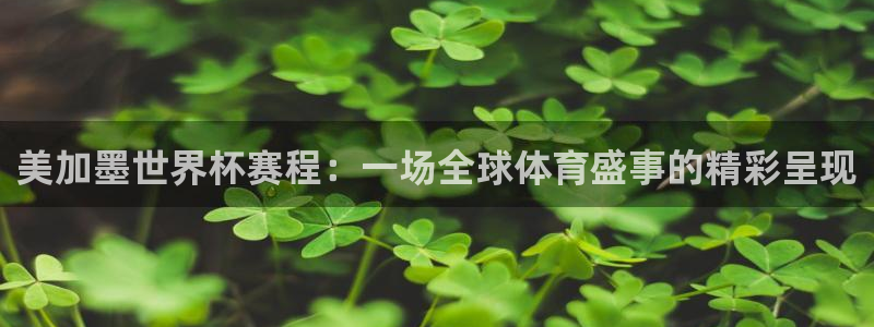 168全国开奖网地址