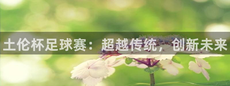 168全国统一开奖网查询