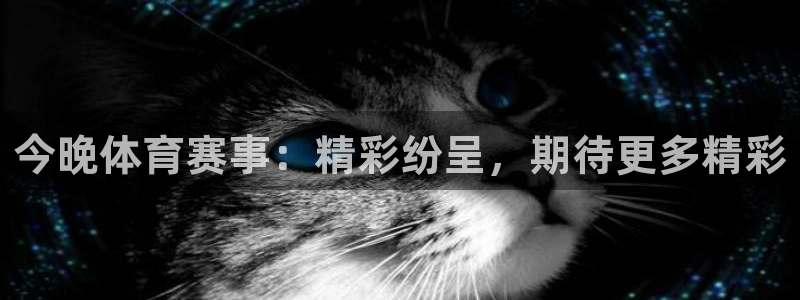 168全国开奖网官网