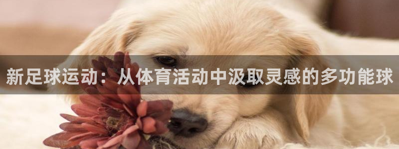 168全国开奖网入口