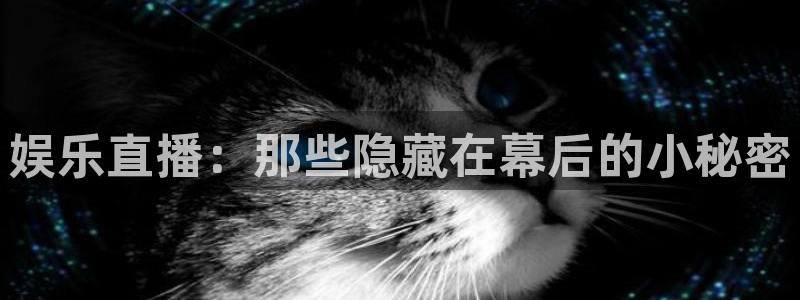 168全国开奖网官网