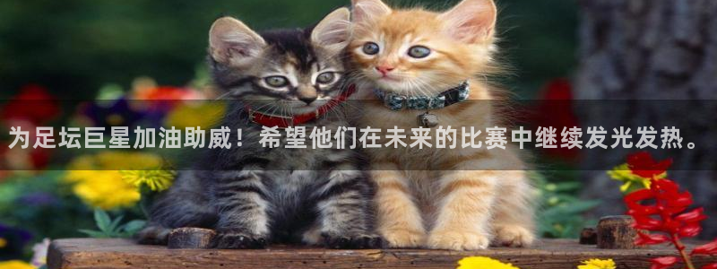 168全国统一开奖结果査询