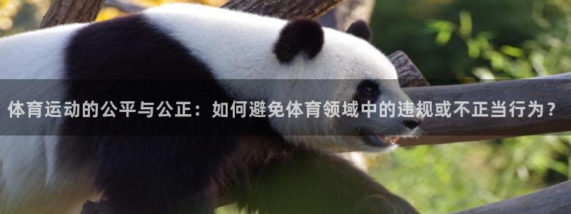168全国开奖网