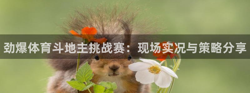 168全国开奖网平台