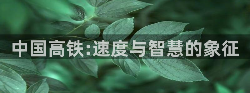 168全国开奖网