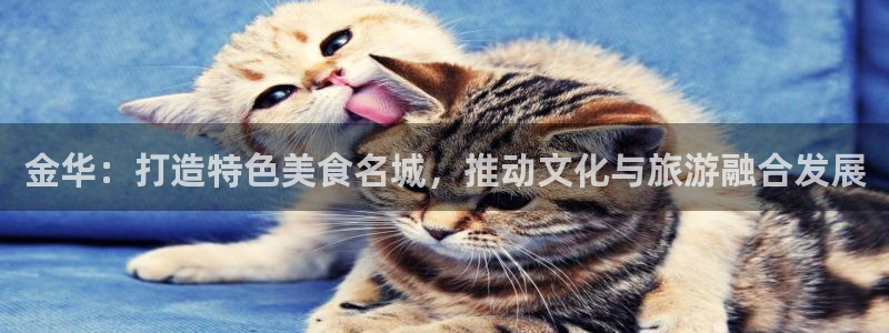 168全国开奖官网查询