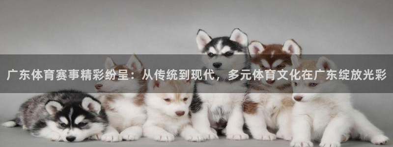 168全国开奖网地址